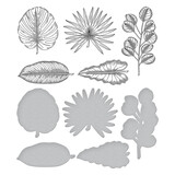 Spellbinders Tropical Leaves Press Plate & Die Set (BP-155) (OUTLET)