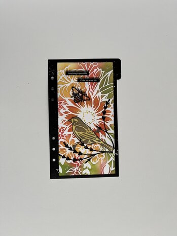 Pronty Crafts Beautiful Butterfly A5 Grey Chipboard Birds (492.001.057) (OUTLET)