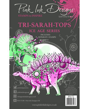 Pink Ink Designs Tri-Sarah-Tops A5 Clear Stamp (PI172) (OUTLET)