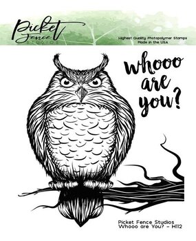 Picket Fence Studios Whooo are You? 4x4 Inch Clear Stamps (H-112) (OUTLET)