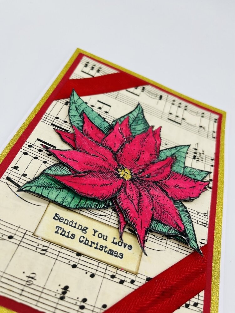 IndigoBlu Poinsettia Collage A6 Rubber Stamps (IND1002) (OUTLET)