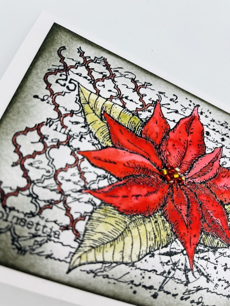 IndigoBlu Poinsettia Collage A6 Rubber Stamps (IND1002) (OUTLET)