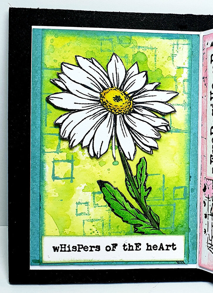 IndigoBlu Camomile A5 Rubber Stamps (IND0810) (OUTLET)