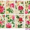 Decorer Letters & Roses Mini Paper Pack (DECOR-M119) (OUTLET)