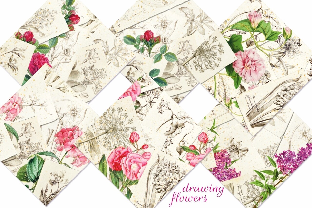 Decorer Drawing Flowers 8x8 Inch Paper Pack (DECOR-B43-441) (OUTLET)