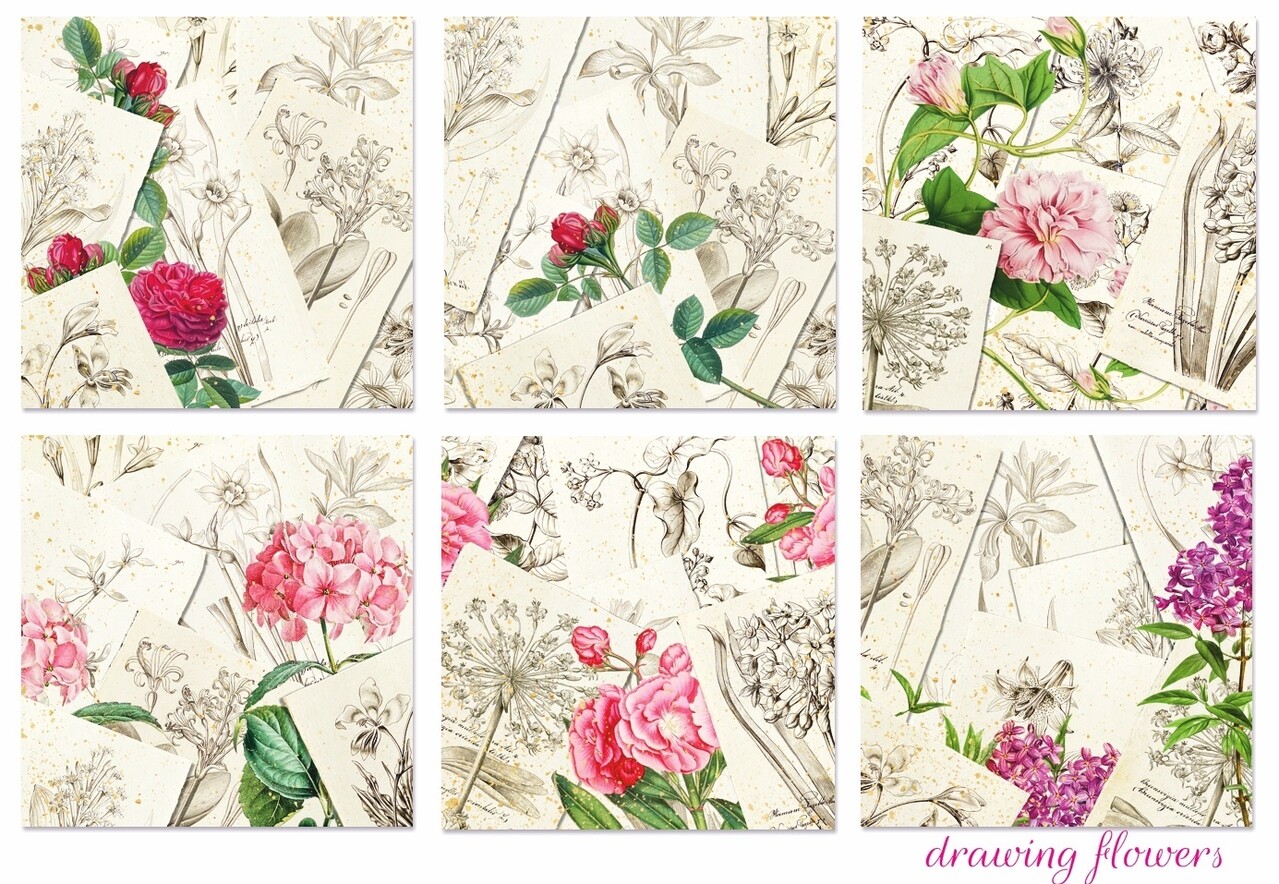 Decorer Drawing Flowers 8x8 Inch Paper Pack (DECOR-B43-441) (OUTLET)