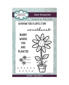 Creative Expressions Sam Poole Clear Stamp A6 Daisy Bloom (CEC993) (OUTLET)