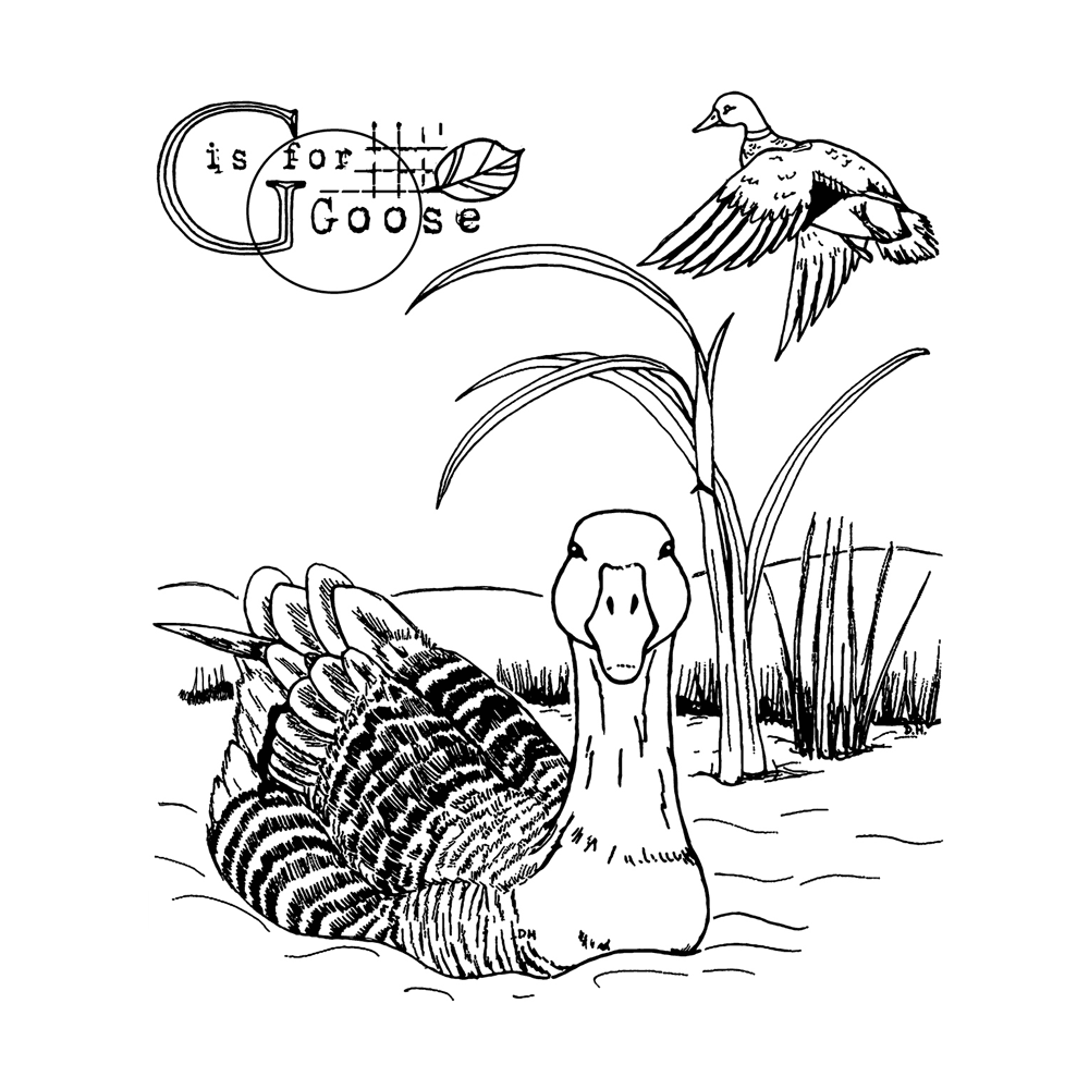 Crafty Individuals G is for Goose Unmounted Rubber Stamps (CI-603) (OUTLET) Crafty Individuals G is for Goose Unmounted Rubber Stamps (CI-603) (OUTLET)