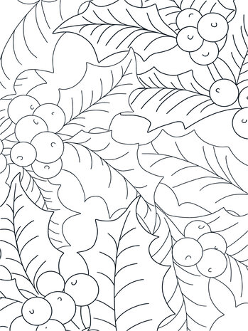 Crafter's Companion Card Front Colouring Pads Natures Christmas (CC-COLPAD-NACH) (OUTLET) Crafter's Companion Card Front Colouring Pads Natures Christmas (CC-COLPAD-NACH) (OUTLET)