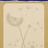 Aurelie Dandelion Whisper Background Embossing Folder (AUEF1008) (OUTLET)