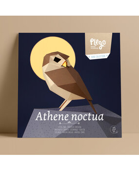 Plego Bird Collection Athene Noctua Paper Kit Plego Bird Collection Athene Noctua Paper Kit