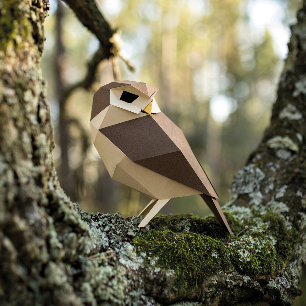 Plego Bird Collection Athene Noctua Paper Kit Plego Bird Collection Athene Noctua Paper Kit