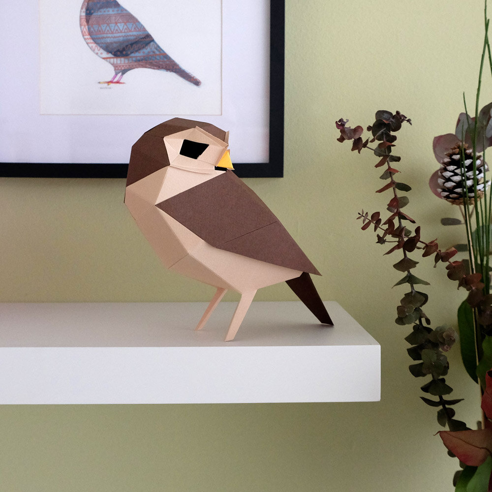 Plego Bird Collection Athene Noctua Paper Kit Plego Bird Collection Athene Noctua Paper Kit