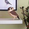 Plego Bird Collection Athene Noctua Paper Kit Plego Bird Collection Athene Noctua Paper Kit