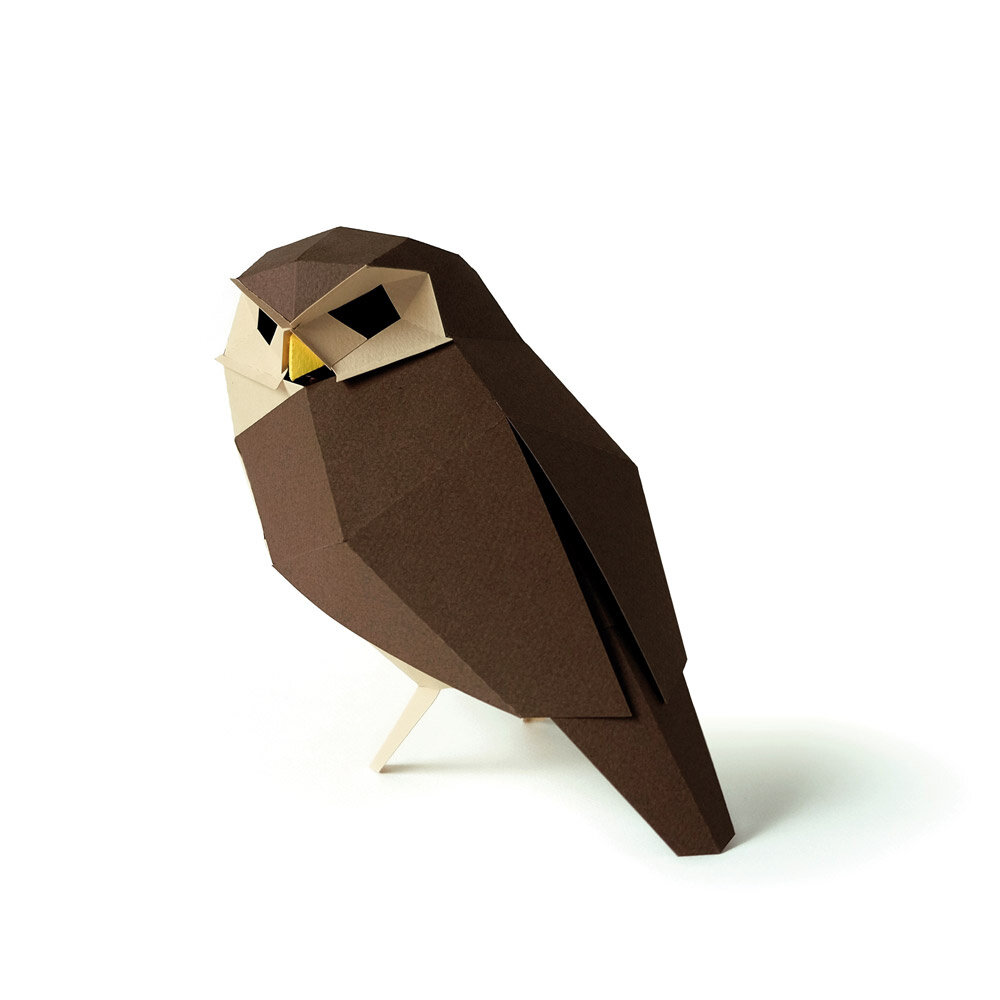 Plego Bird Collection Athene Noctua Paper Kit Plego Bird Collection Athene Noctua Paper Kit