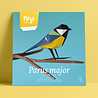 Plego Bird Collection Parus Major Paper Kit Plego Bird Collection Parus Major Paper Kit