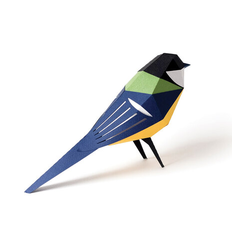 Plego Bird Collection Parus Major Paper Kit Plego Bird Collection Parus Major Paper Kit