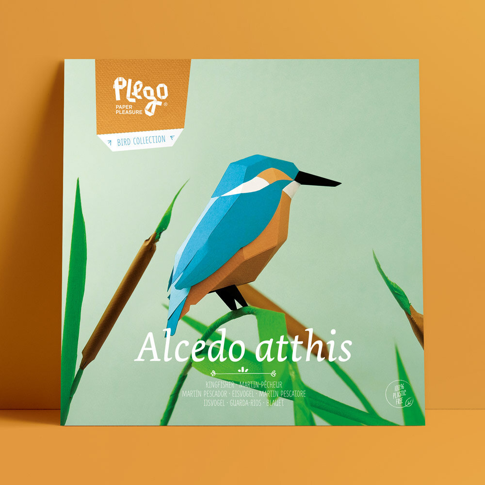 Plego Bird Collection Alcedo Atthis Paper Kit Plego Bird Collection Alcedo Atthis Paper Kit