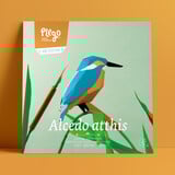 Plego Bird Collection Alcedo Atthis Paper Kit