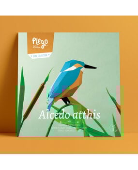 Plego Bird Collection Alcedo Atthis Paper Kit Plego Bird Collection Alcedo Atthis Paper Kit