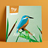 Bird Collection Alcedo Atthis Paper Kit Bird Collection Alcedo Atthis Paper Kit