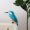 Plego Bird Collection Alcedo Atthis Paper Kit Plego Bird Collection Alcedo Atthis Paper Kit