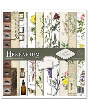 ITD Collection Herbarium 12x12 Inch Paper Pad (SLS 035)