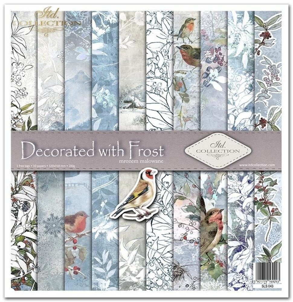 ITD Collection Decorated with Frost 12x12 Inch Paper Pad (SLS 043)