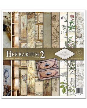 ITD Collection Herbarium 2 12x12 Inch Paper Pad (SLS 049)