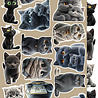 Craft O'Clock Creative Extras Set Cats (CC-CEX-03)