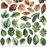 Craft O'Clock Creative Extras Set Leaves 1 (CC-CEX-07) Craft O'Clock Creative Extras Set Leaves 1 (CC-CEX-07)