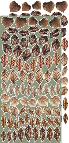 Craft O'Clock Creative Extras Set Leaves 1 (CC-CEX-07) Craft O'Clock Creative Extras Set Leaves 1 (CC-CEX-07)