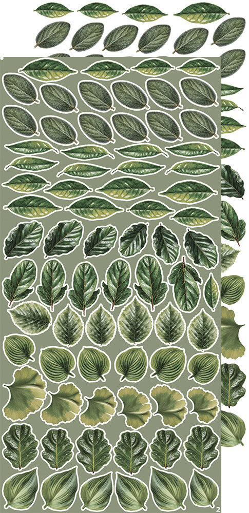 Craft O'Clock Creative Extras Set Leaves 1 (CC-CEX-07) Craft O'Clock Creative Extras Set Leaves 1 (CC-CEX-07)