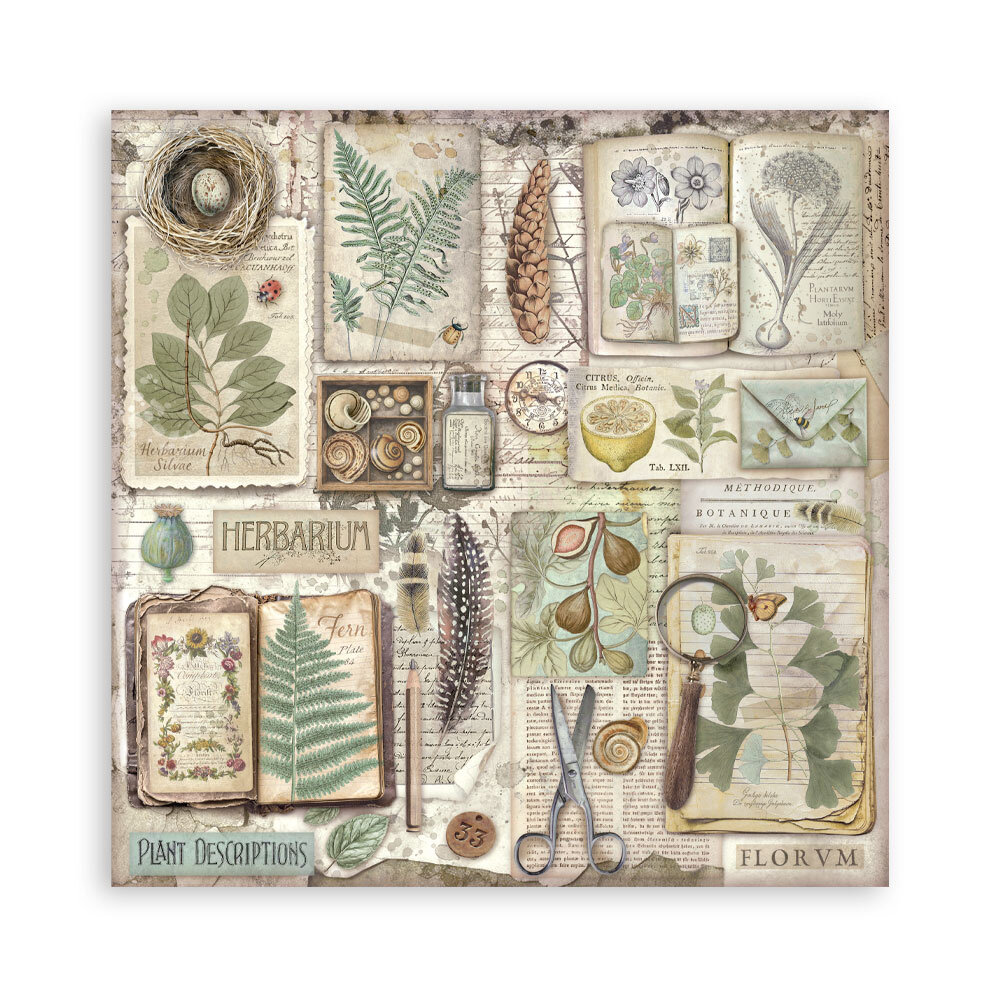 Stamperia Herbarium Silvae 12x12 Inch Single Face Paper Pack (SBBXLB32) Stamperia Herbarium Silvae 12x12 Inch Single Face Paper Pack (SBBXLB32)