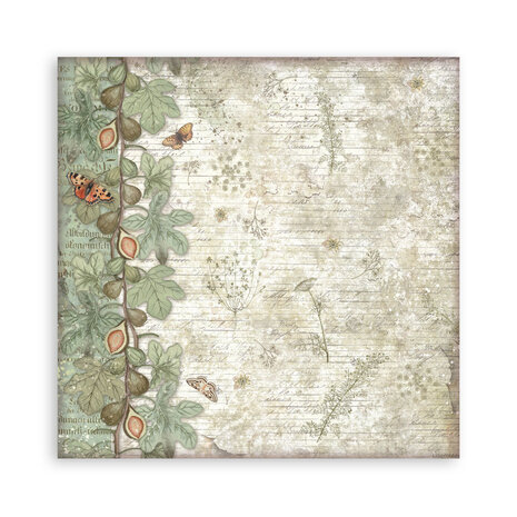 Stamperia Herbarium Silvae 12x12 Inch Single Face Paper Pack (SBBXLB32) Stamperia Herbarium Silvae 12x12 Inch Single Face Paper Pack (SBBXLB32)
