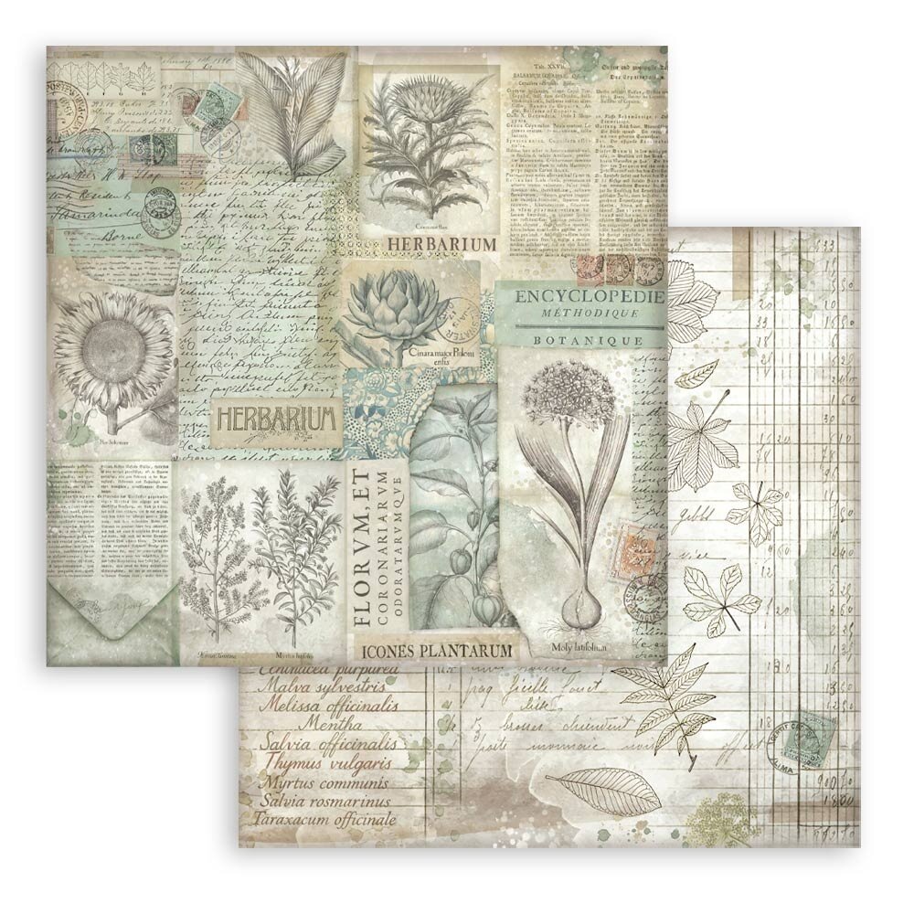 Stamperia Herbarium Silvae Maxi Background 12x12 Inch Paper Pack (SBBL180) Stamperia Herbarium Silvae Maxi Background 12x12 Inch Paper Pack (SBBL180)
