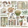 Stamperia Herbarium Silvae Die Cuts (DFLDC123) Stamperia Herbarium Silvae Die Cuts (DFLDC123)