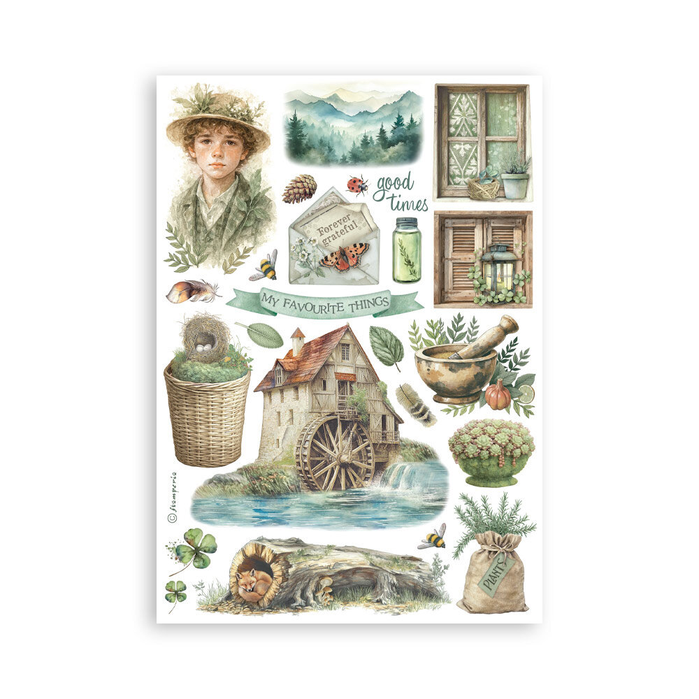 Stamperia Herbarium Silvae A5 Washi Pad (SBW27) Stamperia Herbarium Silvae A5 Washi Pad (SBW27)