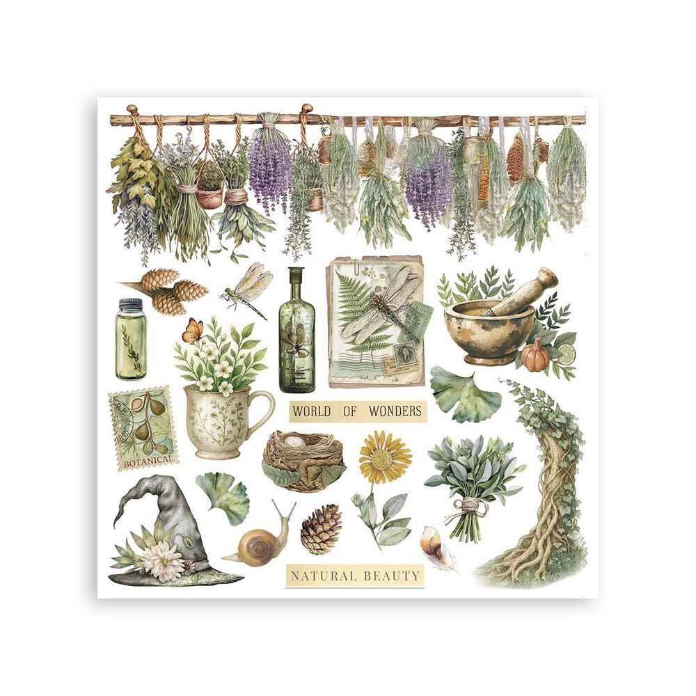 Stamperia Herbarium Silvae 6x6 Inch Rub-On Assortment (DFLRBX02)