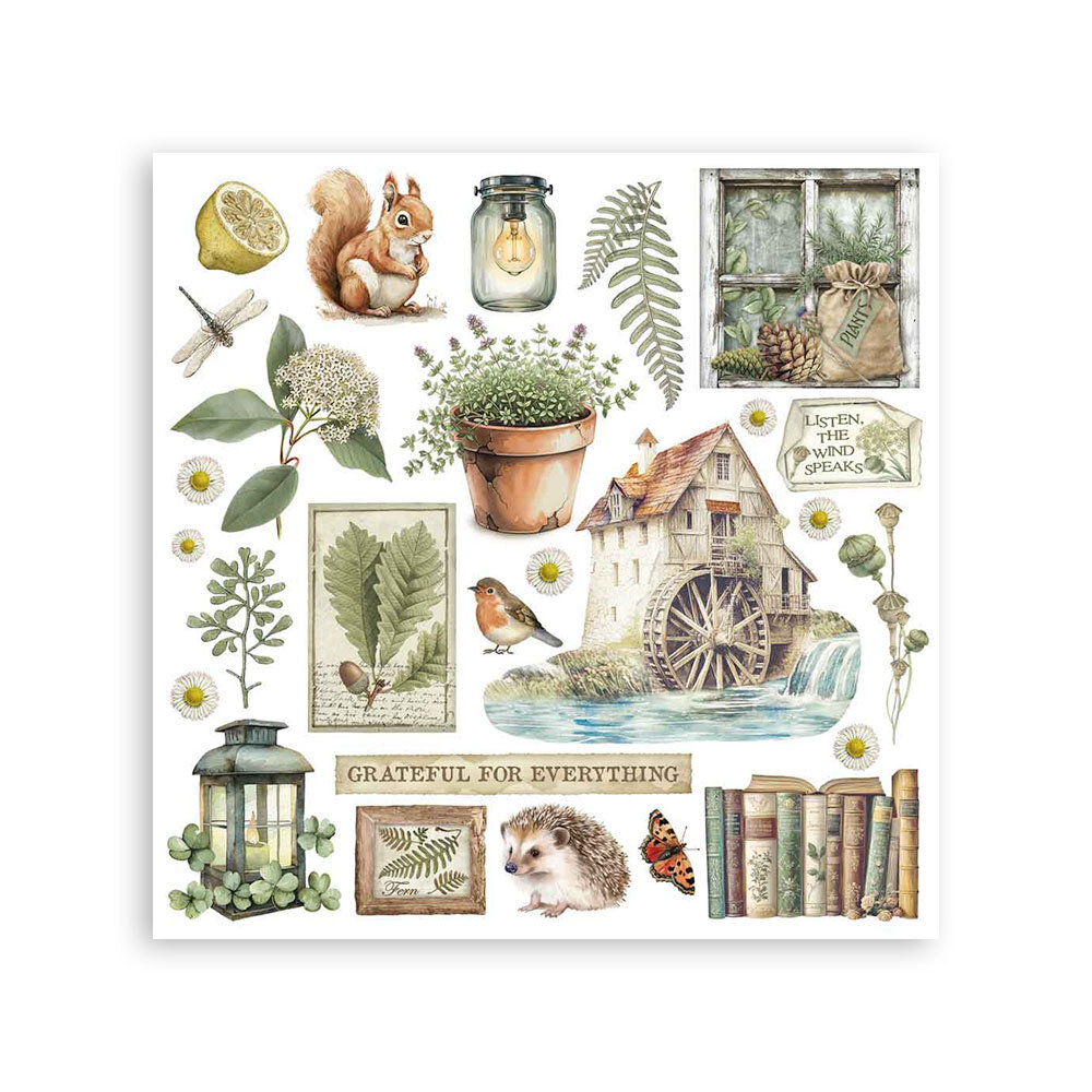 Stamperia Herbarium Silvae 6x6 Inch Rub-On Assortment (DFLRBX02)