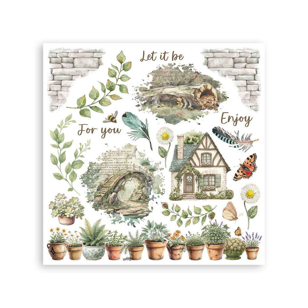 Stamperia Herbarium Silvae 6x6 Inch Rub-On Assortment (DFLRBX02)