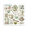 Stamperia Herbarium Silvae 6x6 Inch Rub-On Assortment (DFLRBX02)