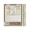 Stamperia Herbarium Silvae 6x6 Inch Rub-On Assortment (DFLRBX02)