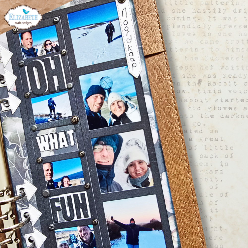 Elizabeth Craft Designs Winter Wanderlust Dies Window Overlay 1 (2314) Elizabeth Craft Designs Winter Wanderlust Dies Window Overlay 1 (2314)