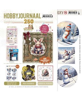 Find It Trading Hobbyjournaal 250 + Gratis Scenery Find It Trading Hobbyjournaal 250 + Gratis Scenery