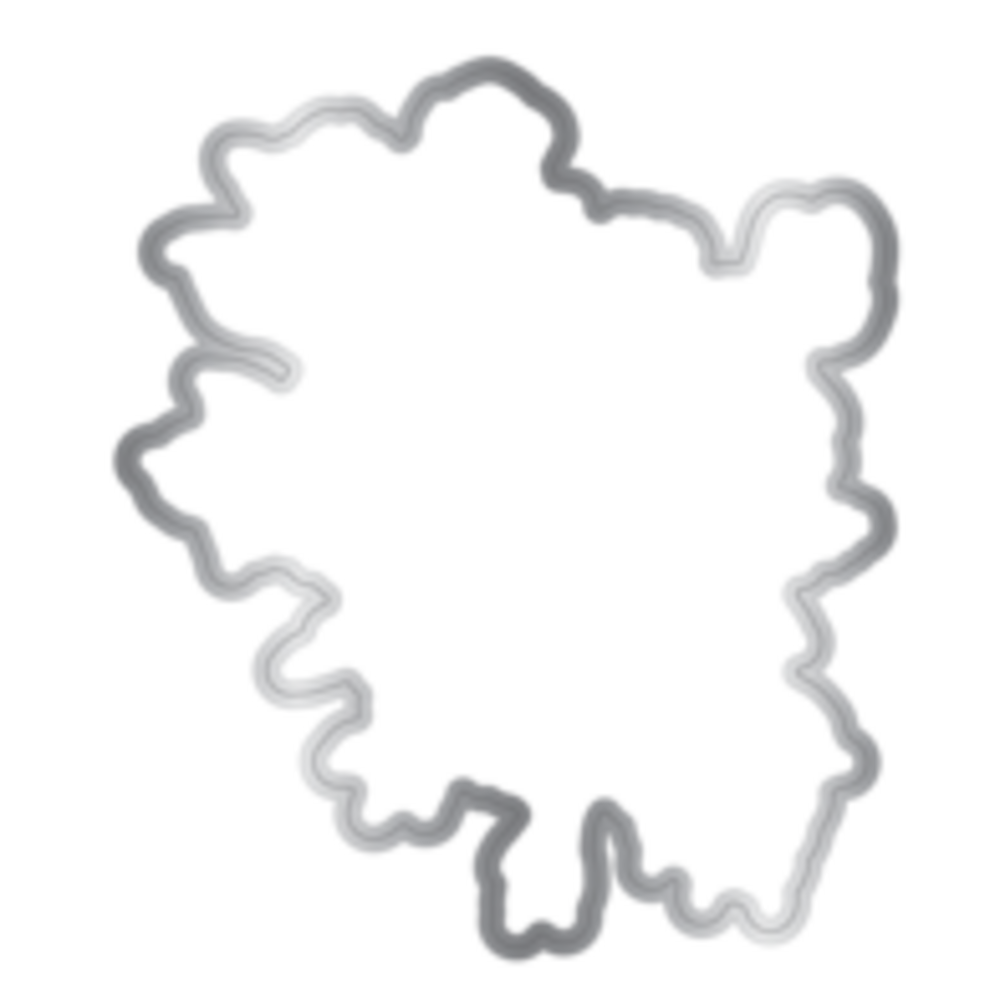 Crafter's Companion Midnight Floral Stamp & Die Butterfly & Rose Blooms (NG-MF-STD-BUTRB)