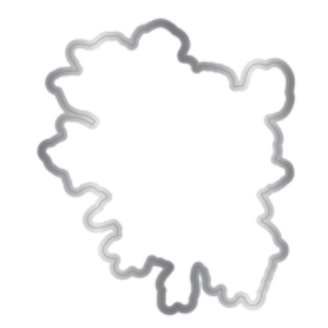 Crafter's Companion Midnight Floral Stamp & Die Butterfly & Rose Blooms (NG-MF-STD-BUTRB)