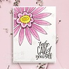 Woodware Petal Doodles Take Care Clear Stamps (JGS861) (OUTLET)