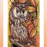 Studio Light Owl in Tree Grunge Stamps (SL-GR-STAMP447) (OUTLET)