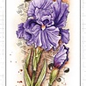 Studio Light Iris Grunge Stamps (SL-GR-STAMP203) (OUTLET)